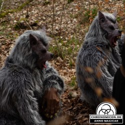 Wölfe Greifenweiler